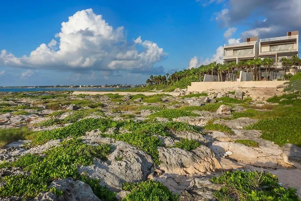 Oceanview Villa 4Br Concierge Service Tulum Mexico