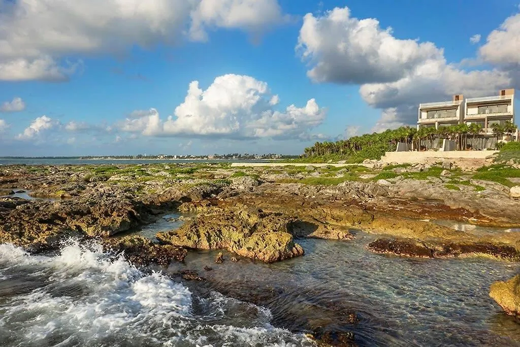 Oceanview Villa 4Br Concierge Service Tulum